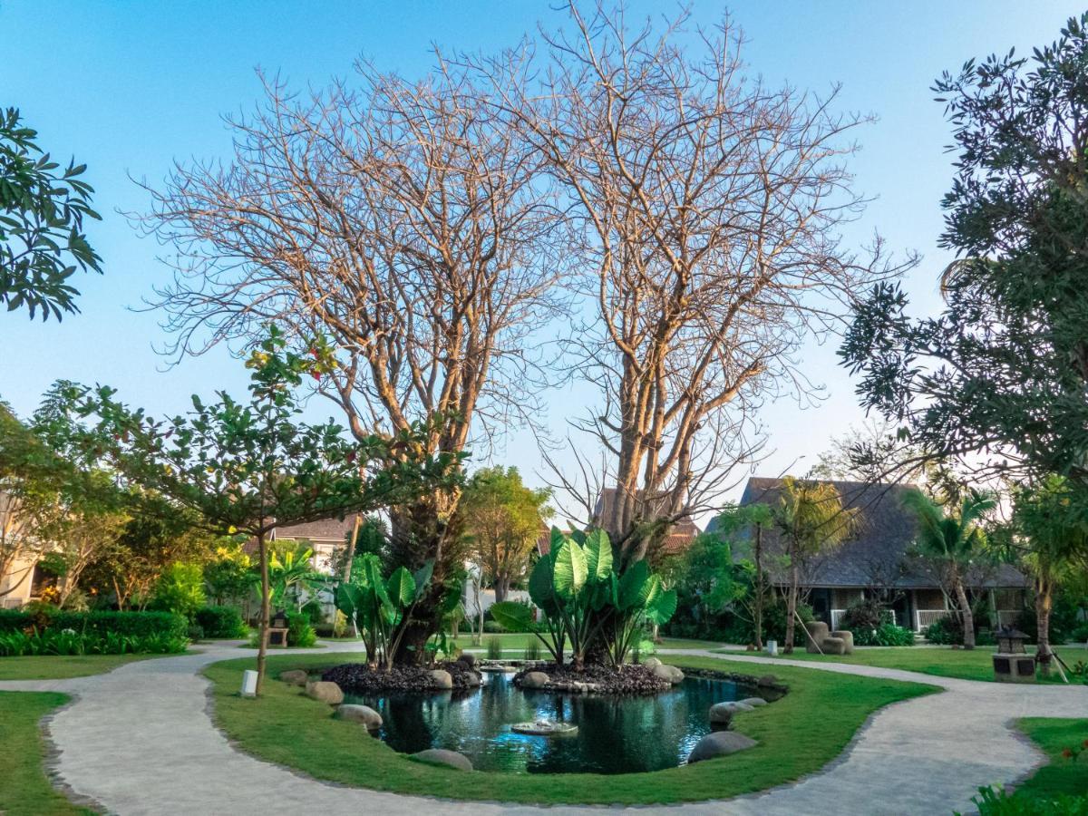 Sudamala Resort, Komodo, Лабуан-Бахо Экстерьер фото The twin trees at the centre of the resort